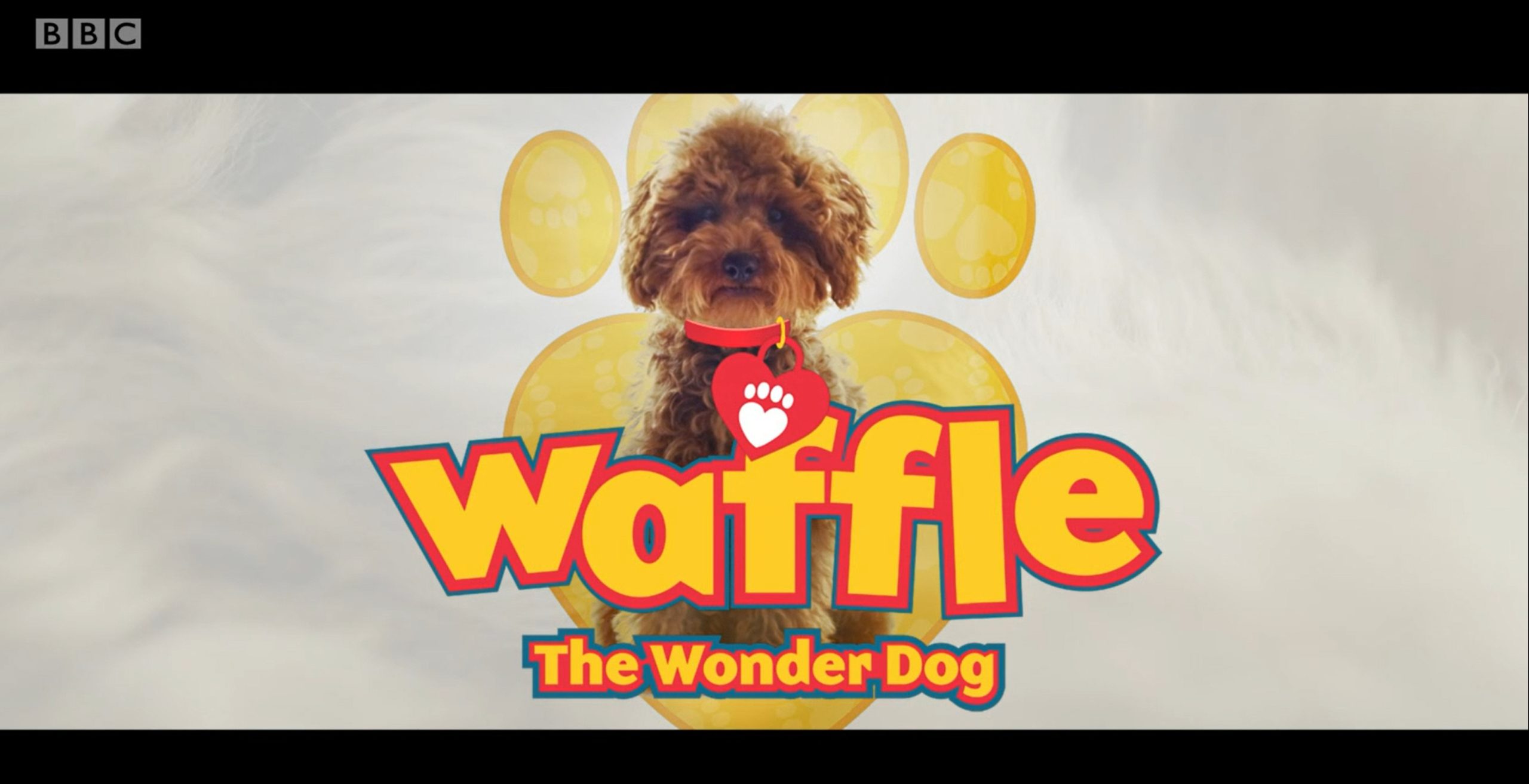 Waffle the Wonder Dog 欢乐一家人【1-4季59集 英语 英文字幕 适合4-7岁】-新知365